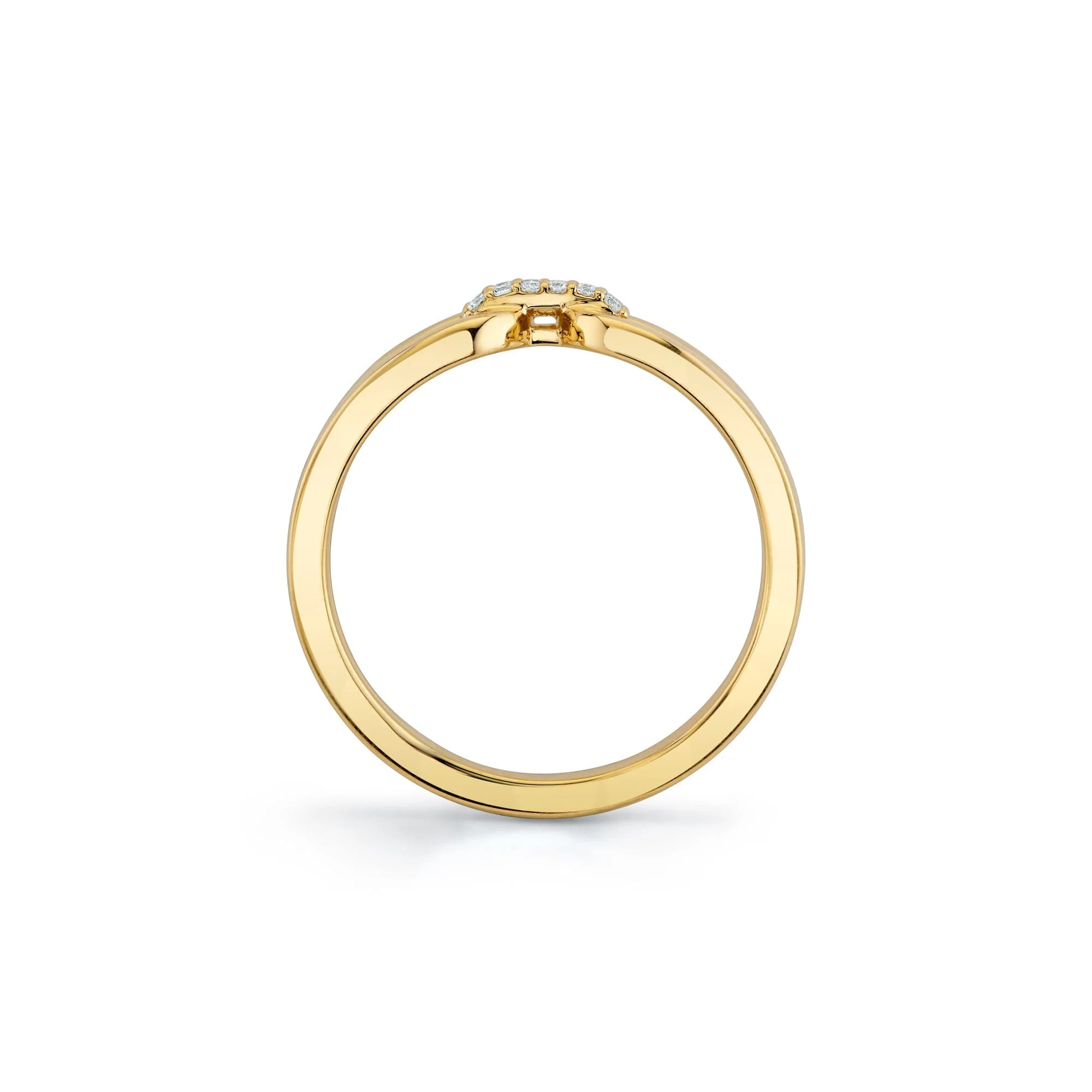 Europa Interlink Ring - Image 3